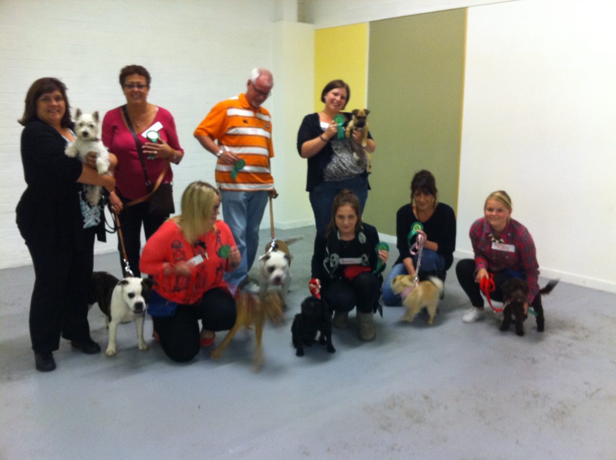 GALLERY - Progress Dog Training