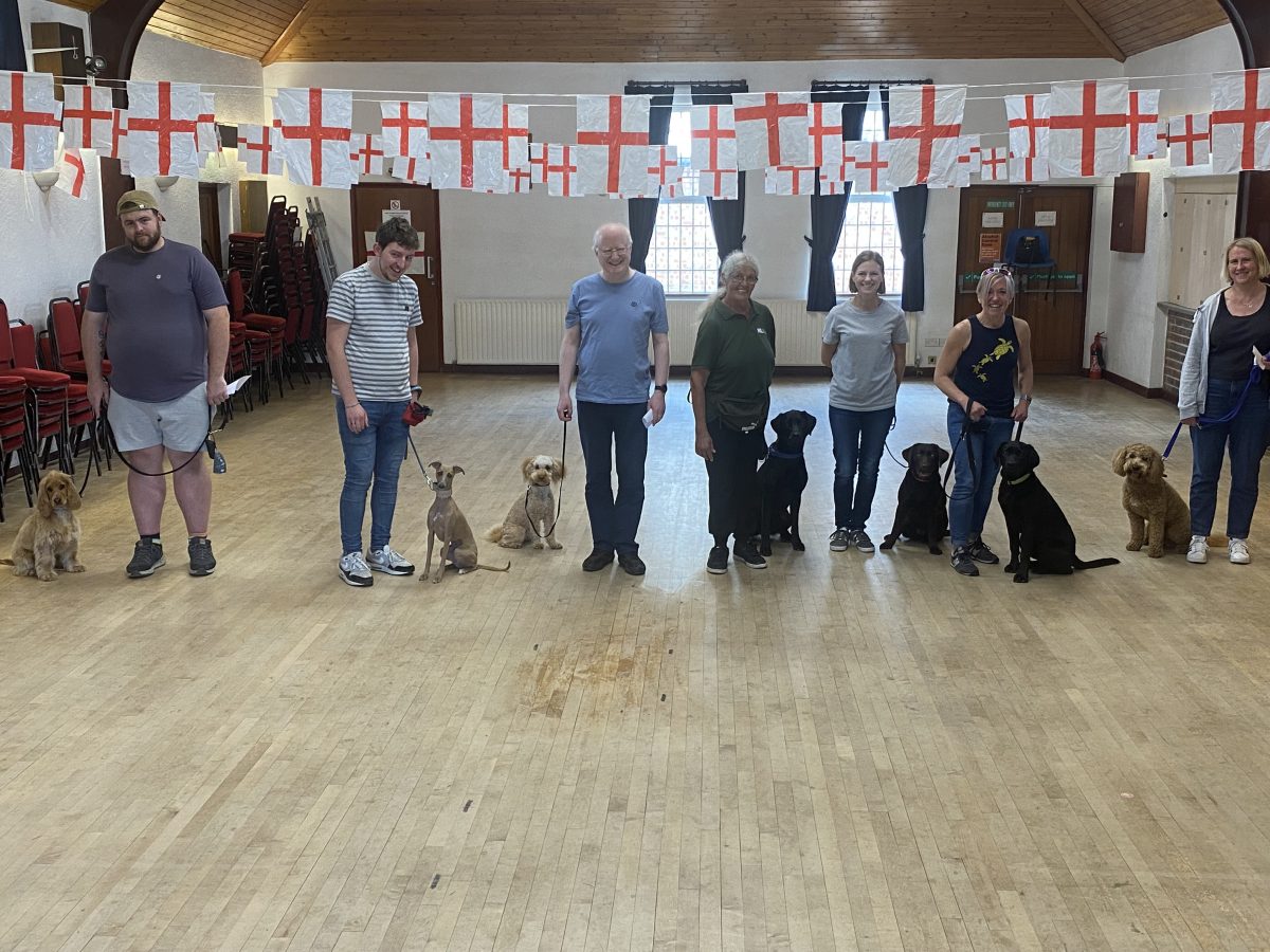 GALLERY - Progress Dog Training
